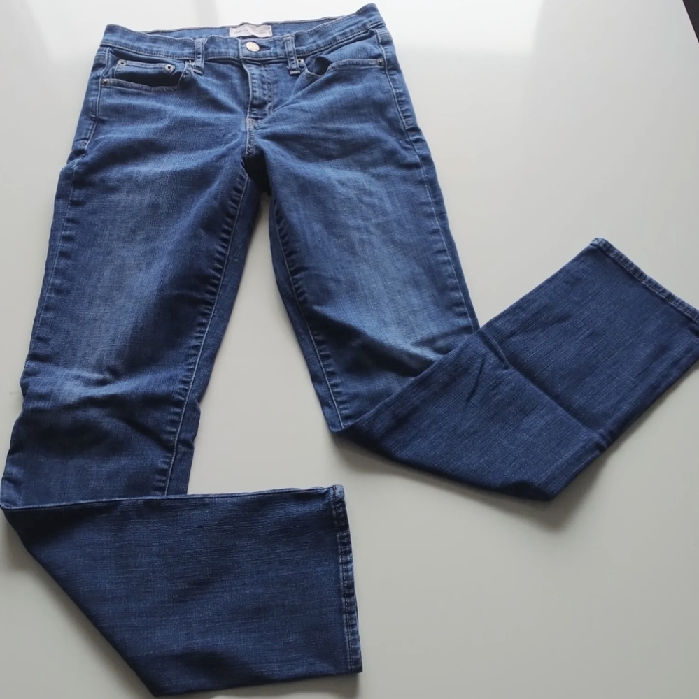 GAP Denim Straight Jeans Womens 28 Mid Rise Medium Wash Blue